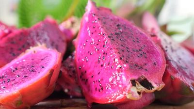 Dragon fruit farmers juggle full-time jobs while expanding their plantation in Central Queensland