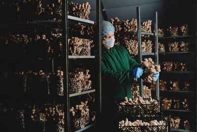 Mushroom firm grows as demand for exotic varieties surges