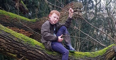 Heartbreak as boy, 9, crushed to death by tree while running to grab hat that blew away