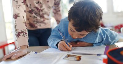 Taoiseach Leo Varadkar admits schoolchildren can get too much homework but stops short of supporting calls for ban