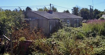 The £10k bungalow going to auction that's too dangerous to enter