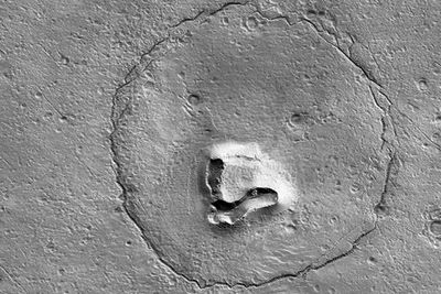 Mars landforms show a bear in adorable Nasa satellite image