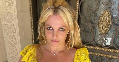 Britney Spears reckons she's shed the pounds on bizarre ice cream diet that 'actually works'