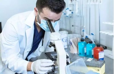 New Mathematical Model Demonstrates How Body Regulates Potassium