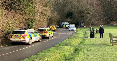 Woman, 28, who died after being mauled to death by eight dogs she was walking named