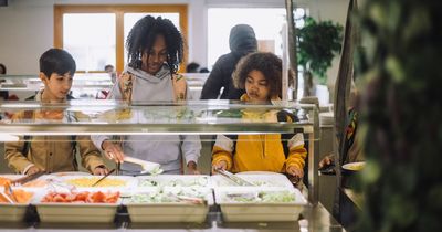 Fed-up teacher shares 'depressing' school dinner that should be 'illegal'