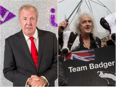 ‘Do not be fooled’: Jeremy Clarkson hits out at Brian May over defence of ‘b*****d’ badgers