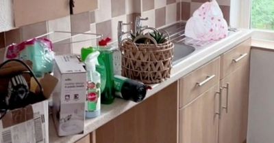 Mum reveals how she transformed kitchen for under £50 using £3 bargain and stick-on tiles