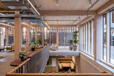 ‘I want to caress the lift!’: the eco office block miracle made entirely from wood