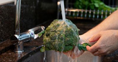 People are only just realising they've been washing broccoli wrong their whole lives