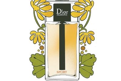 ‘Why do ‘sports’ colognes always smell like disappointed lemon drops?’ Katie Puckrik has the answer