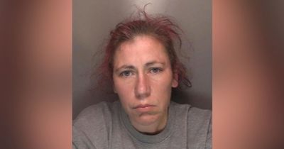 Prolific shoplifter who slashed Lidl manager with broken jar wanted by police