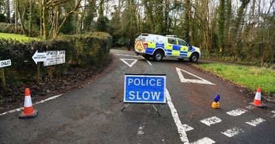 Woman mauled to death by eight dogs while out on a walk named