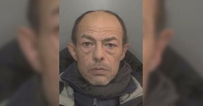 Racist man ranted at judge 'you've killed my dog you f****** rat'