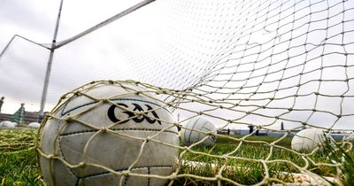 Dublin mum fights alleged 'GAA ban on her entire family'