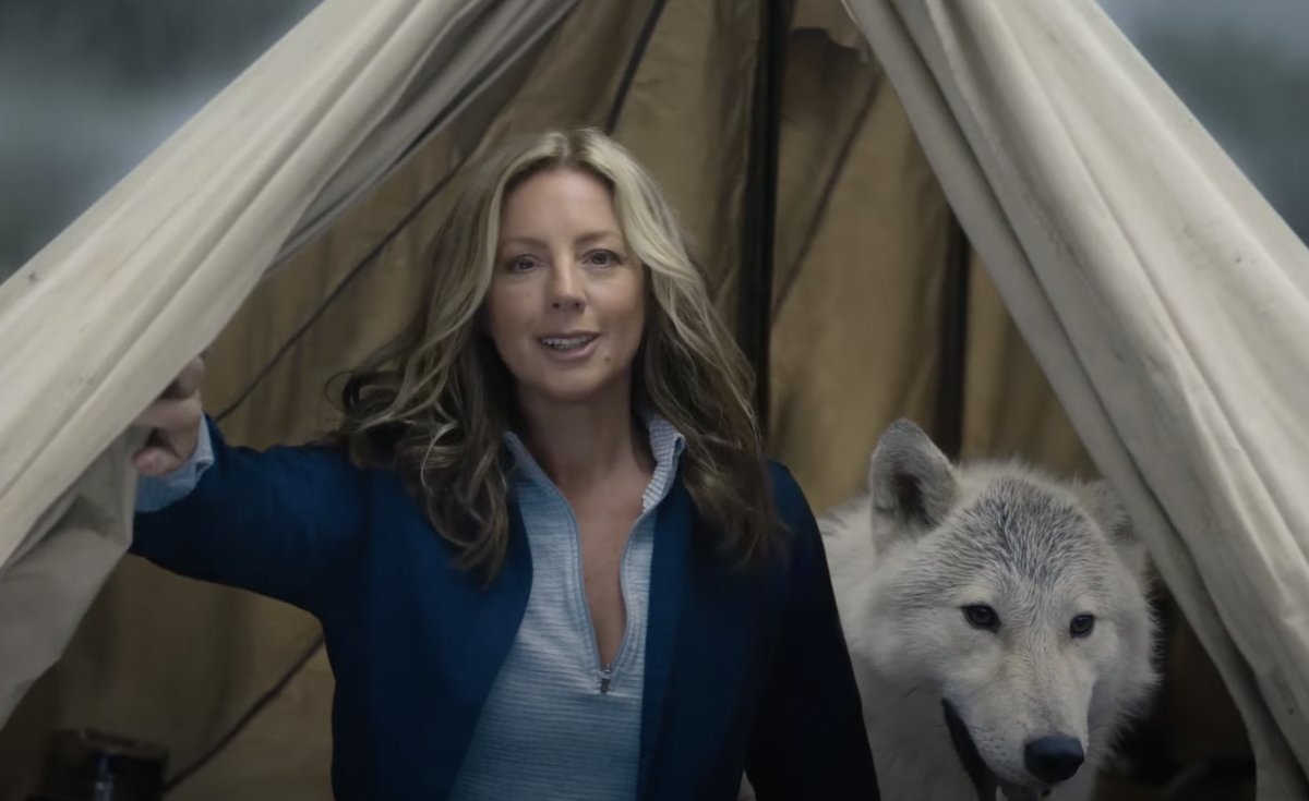 Sarah McLachlan spoofs her animal cruelty prevention…