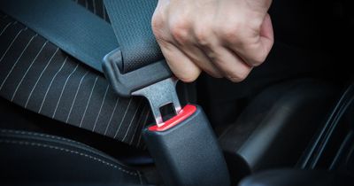 A quarter of drivers want stronger penalties for breaking seat belt laws