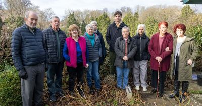 Landowner slams 'disappointing' council decision to refuse plans to fell more trees near River Frome