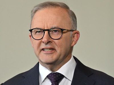 Indigenous voice has migrant community backing: PM