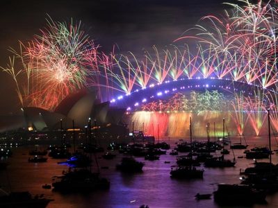 Fireworks deliver long-term hit for wildlife: study