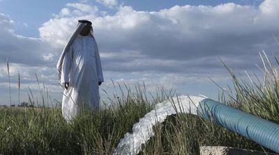 Winter Rains Revive Iraq's Famed Marshlands