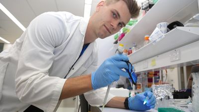 COVID-19 rapid antigen tests overhaul needed, researcher says
