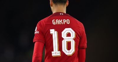 Rating Liverpool’s transfer window as Jurgen Klopp aims to turn Reds’ faltering season around