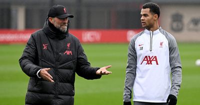 Cody Gakpo changed Jurgen Klopp's mind in Liverpool's January transfer window