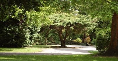 Multi-million pound transformation of Stretford's Longford Park in the offing