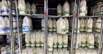 Clear milk lids introduced at Tesco supermarket as coloured tops vanish from shops