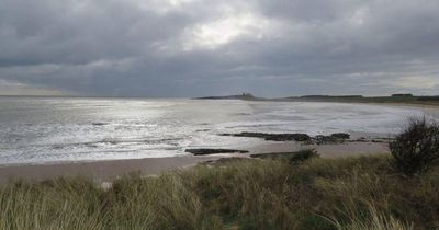 Homes in coastal area of Northumberland could be lost to the sea by 2100, campaigners say