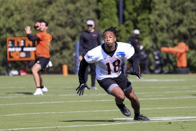Bengals make first roster moves of offseason