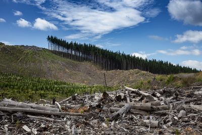 Time for stronger forestry regulations to control pollution