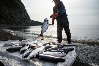 EPA blocks Alaska mining project in salmon-rich Bristol Bay