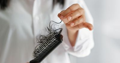 Woman raves about £2 Primark product 'everyone needs' to remove hair from hairbrush