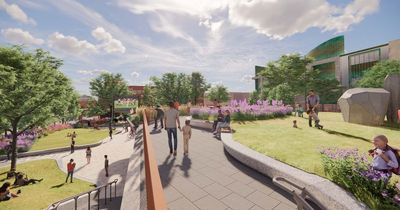 Swansea's beloved old Castle Gardens to return with a new greener look for the square as plans are agreed