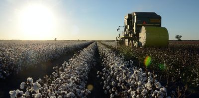 Australia's cotton farmers can help prevent exploitation in the global garment industry