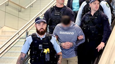 NSW fugitive found hiding in yacht arrives in Sydney and charged with breaching warrants