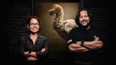 American scientists launch bid to de-extinct the dodo