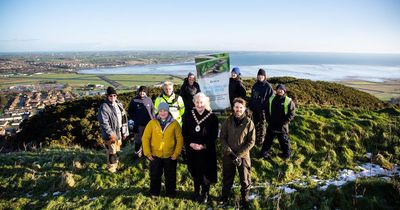 Scrabo Hill lizard population being helped by local volunteers