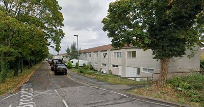 Tragedy as little girl, 4, dies after being 'attacked by dog' in back garden