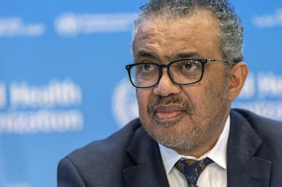 UN found no managerial misconduct at WHO in Congo sex scandal