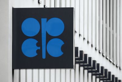 OPEC does not control price of oil, says cartel chief