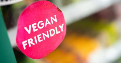 Is Veganuary actually good for you? Meat lover's honest opinion after going plant-based for a month