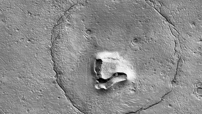 A NASA orbiter captured a photo of rocks on Mars that resemble a bear. This is known as a phenomenon called 'pareidolia'