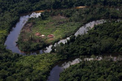 Brazil readies task force to expel miners from Yanomami lands, officials say