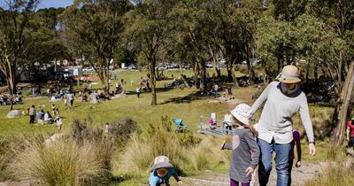 Corin Forest a top-10 picnic spot in Australia