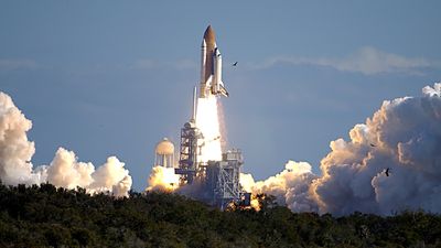 The Australian spider experiment on board the ill-fated space shuttle Columbia, 20 years ago