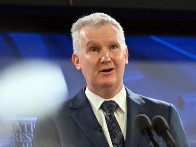 Labor lines up insecure work crackdown for late 2023