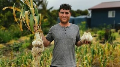 South Australian hobby farmer sets Australian record with 1kg elephant garlic